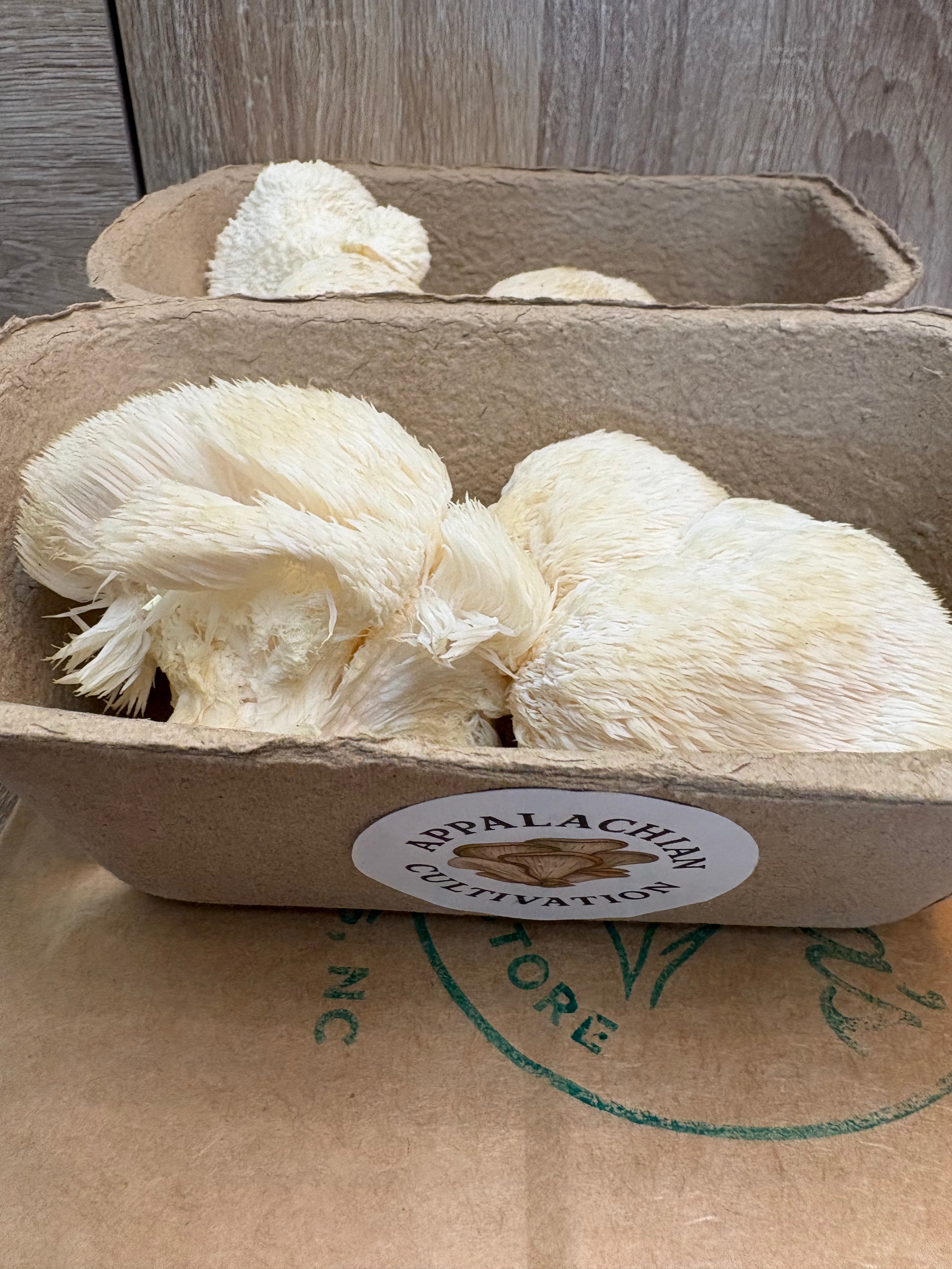 Lion’s Mane